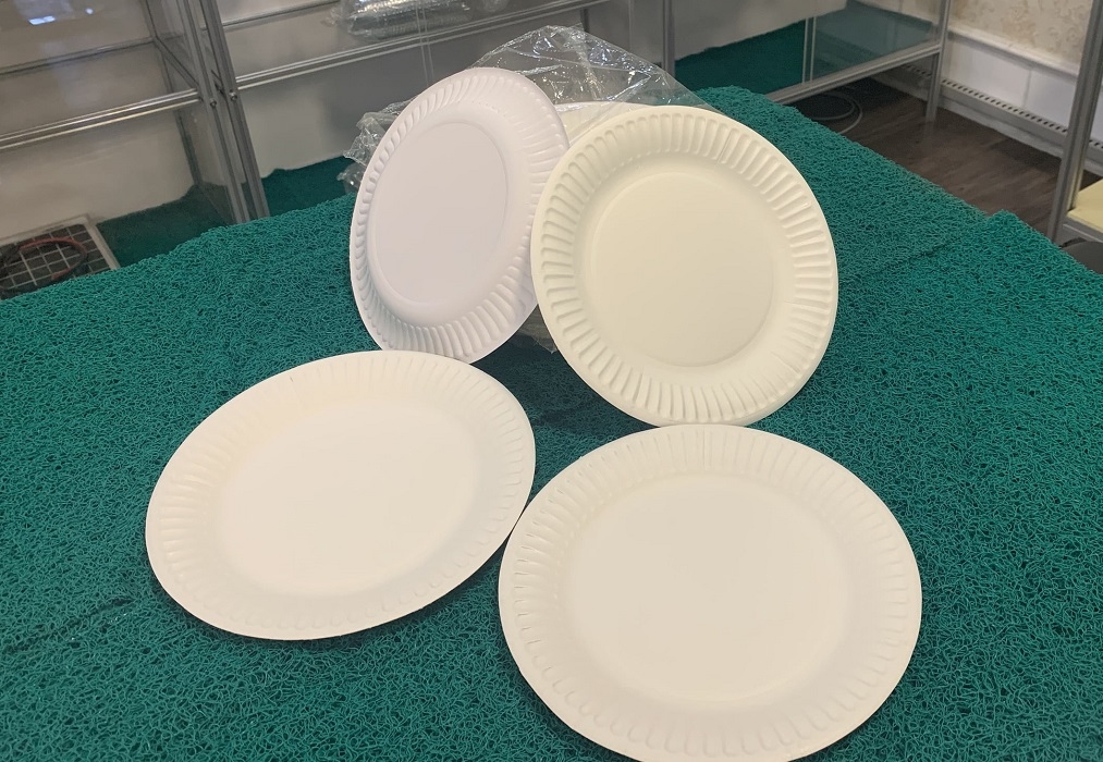 US issues preliminary conclusions on anti-dumping probe into local paper plates