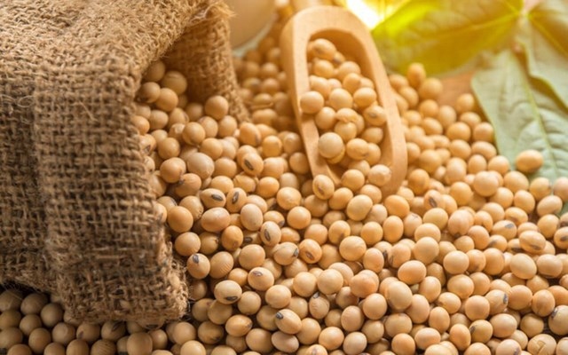 Three major soybean suppliers to Vietnam