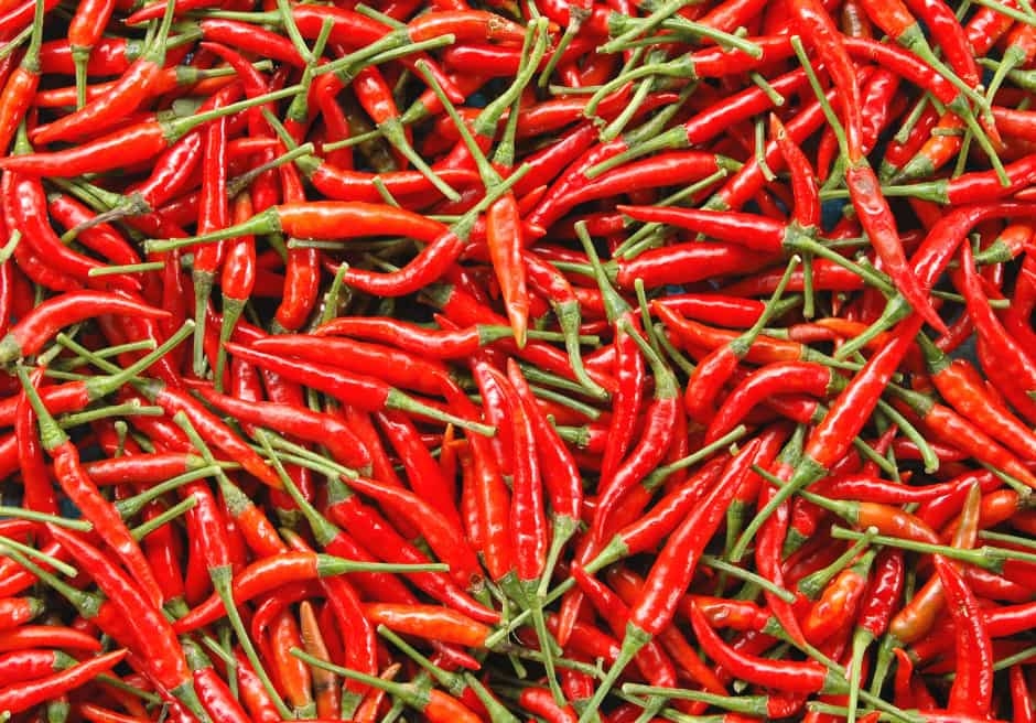 Eight-month chili exports to US market skyrocket