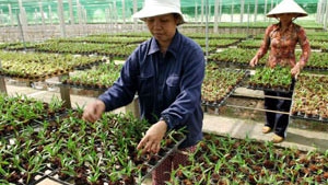Japanese minister shares experience in promoting hi-tech agriculture