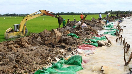 Mekong Delta urged to control flooding amid climate change