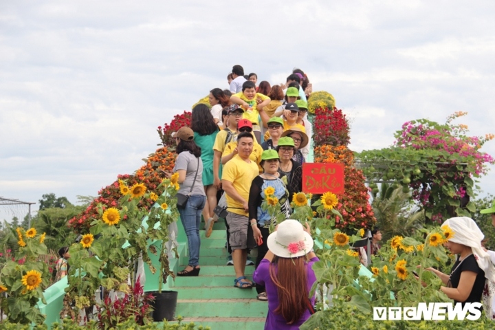 Sa Dec flower village attracts visitors on New Year’s Day