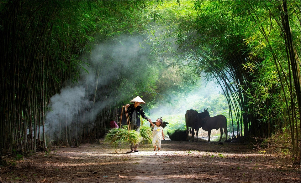 Stunning images from Zing.vn Photo Contest