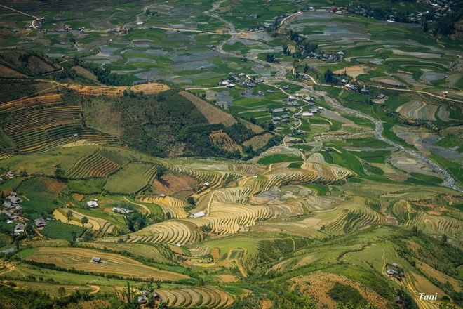 Stunning photos of Mu Cang Chai’s rice terraces