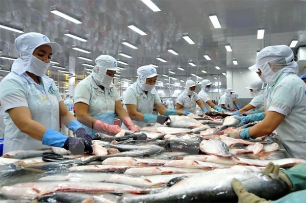 US no longer Vietnam’s largest seafood buyer