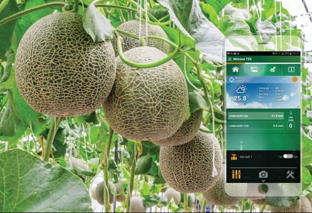 Vietnam moves towards high-tech agriculture