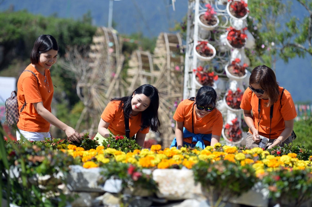 SunWorld Fansipan Legend sparkles in blooming flower season