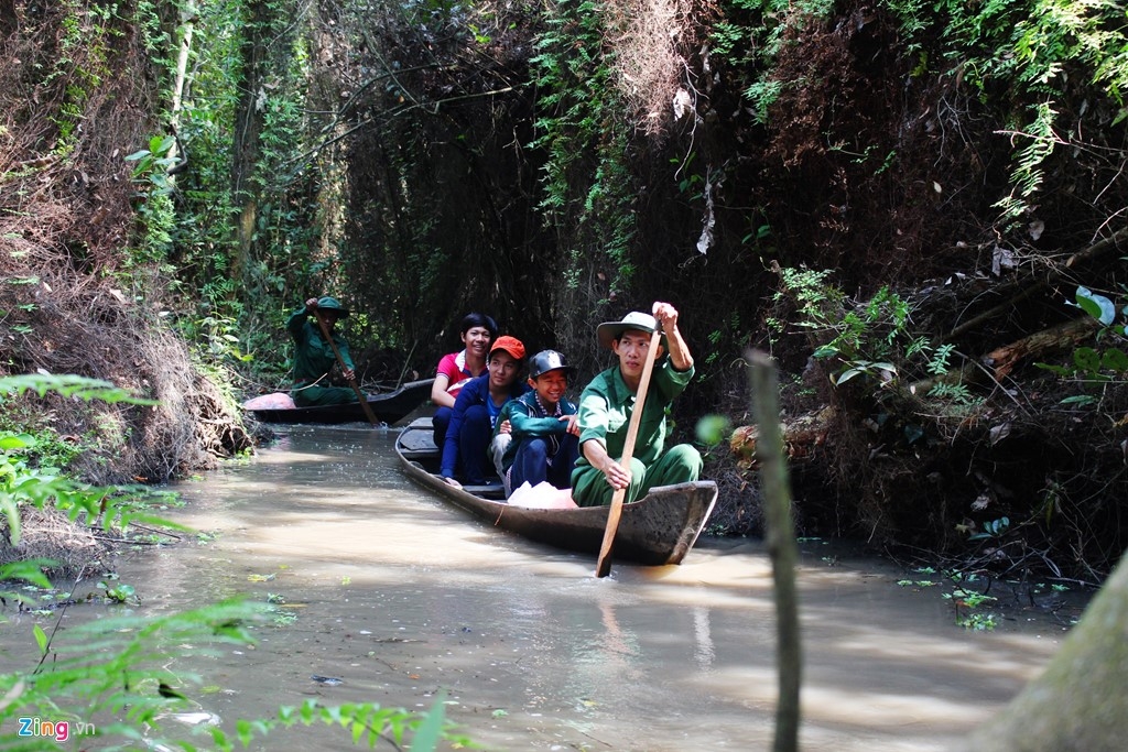 Exploring cajuput forests in the western region