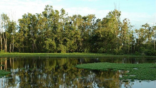UNDP-funded project targets wetland protection