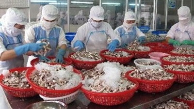 Aquatic exports up 1.3% in 8 months