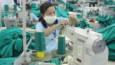Vietnamese firms ready to spread to other Asian markets