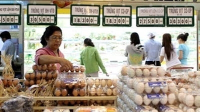 2012 economy grows by 5.03 percent