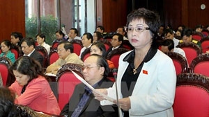 Hanoi taking Chau Thi Thu Nga offenses seriously