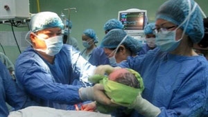 Danang welcomes first test-tube babies