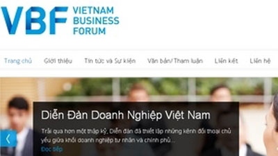 Vietnam Business Forum 2012 introduced