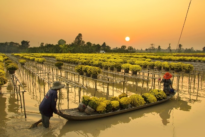 Explore Dong Thap, land of the lotus, for just US$20