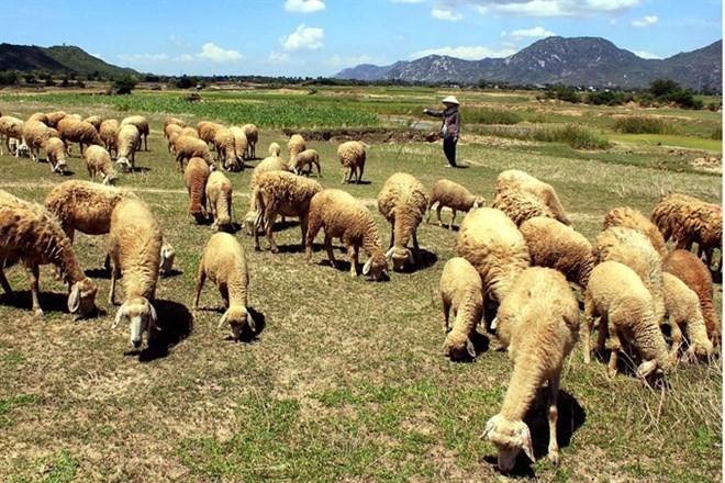 Drought threatens farmers in south-central region