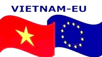 Vietnam, EU hold third political consultation