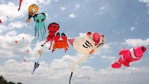 Kite exhibition attracts int’l artisans