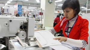 EuroCham: Vietnam’s business climate improving
