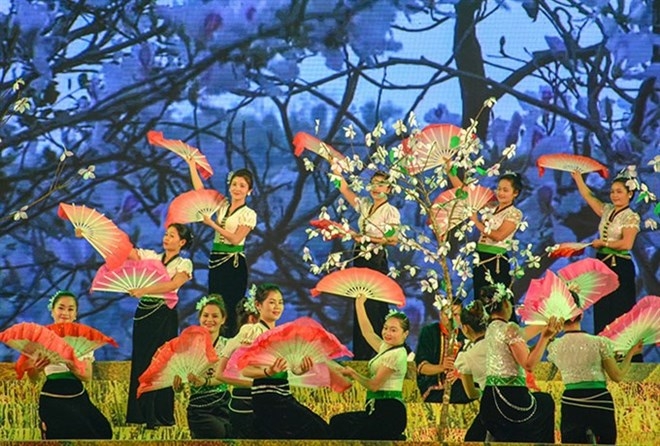 Ban Flower Festival 2019 to be held in Dien Bien in March