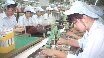 Japanese firms seek investment opportunities in Ha Nam