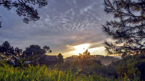 Elephant Mountain in Da Lat at dawn