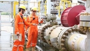 Nam Con Son pipeline brings 50 billion cu.m of gas ashore