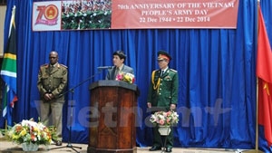 Vietnam People’s Army founding day marked abroad