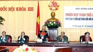 Ethnic council discusses revised Constitution