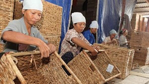 Vietnam, EC step up support of SMEs