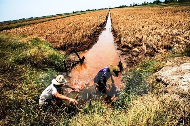 Saline intrusion threatens Mekong Delta