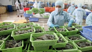 Shrimp exports likely to hit US$3 bln for first time