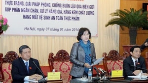 Vietnam focuses on dealing with smuggling