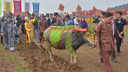 Ceremonial Ploughing Festival opens in Ha Nam province