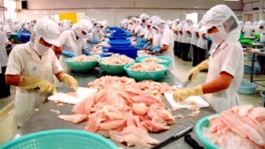 Tra fish export valued US$1.7 billion in 2014