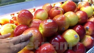 Vietnam issues warning on US-imported apples