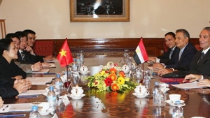 Vietnam strengthens ties with Egypt