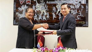 Vietnam, Kiribati establish diplomatic relations