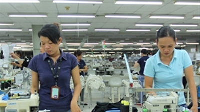 Foreign experts return to work in Binh Duong