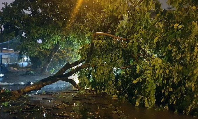 Wipha floods streets after landing in northern Vietnam