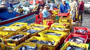 Vietnam to prioritise industrial aquaculture