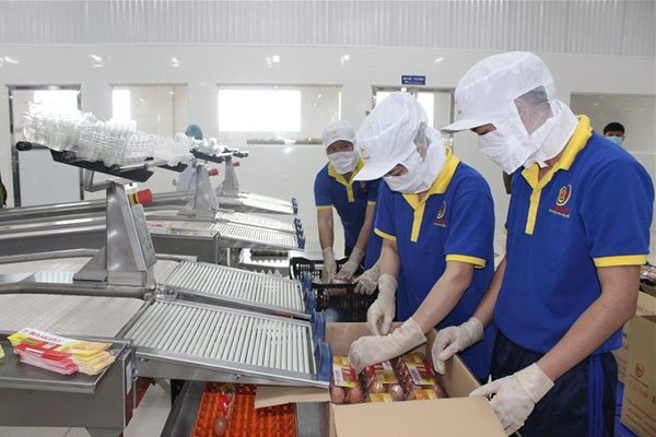 Ba Huan opens poultry egg packaging plant in Hanoi