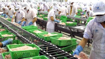 US continues anti-dumping tariffs on Vietnam’s pangasius