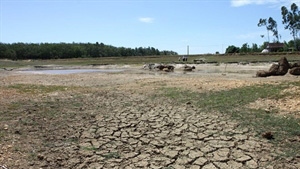 Climate change to inflict huge losses