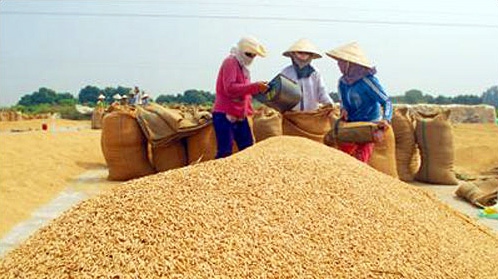 Outstanding farmers to be honoured this month