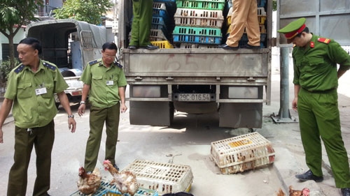 Ban imposed on poultry transport via border gates