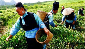WB reports on Vietnam’s poverty reduction in 2012