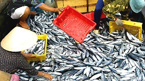 Aquaculture sector calls for more investment