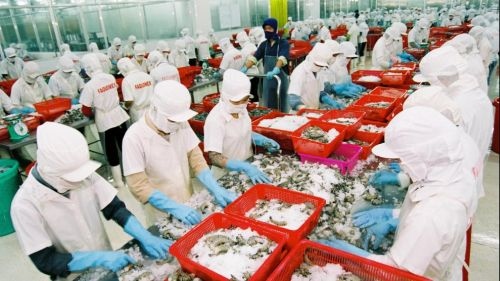 Seafood exports to RoK on rise